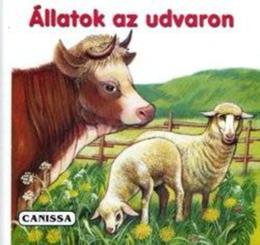 llatok az udvaron