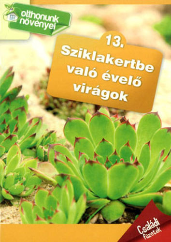 Sziklakertbe val vel virgok - Otthonunk nvnyei 13.