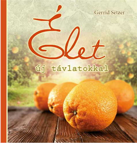 Gerrid Setzer - Élet új távlatokkal