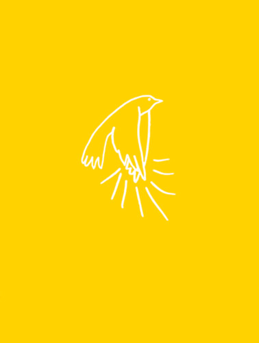 Fusz Mátyás, Kristóf Krisztián, Zalavári András - A madarak tapsolnak, amikor felszállnak