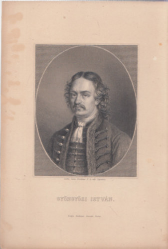 Gyngysi Istvn (eredeti aclmetszet, 19. szzad)