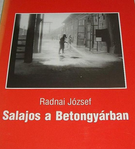 Radnai József - Salajos a betongyárban