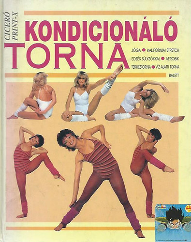 Ann Carpenter - Kondicionl torna (Jga, kaliforniai stretch, edzs slyzkkal, aerobik, terhestorna, vz alatti torna, balett)