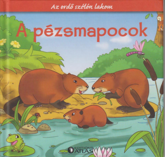 A pzsmapocok