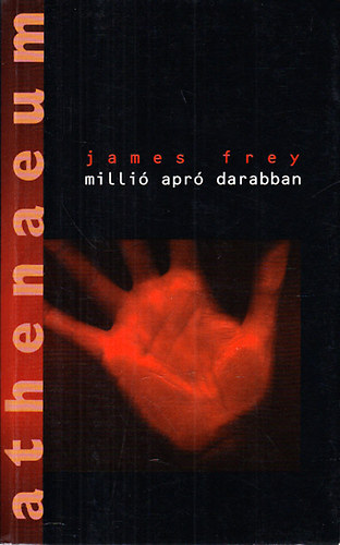 James Frey - Millió apró darabban