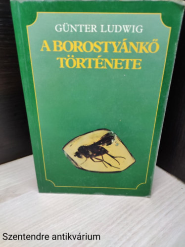 Gnter Ludwig - A borostynk trtnete
