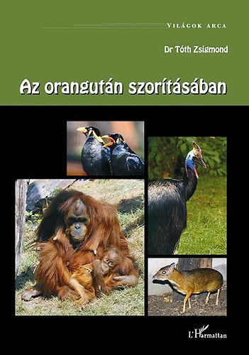 Dr. T�th Zsigmond - Az orangut�n szor�t�s�ban