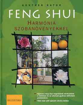 Gnther Sator - Feng shui: Harmnia szobanvnyekkel