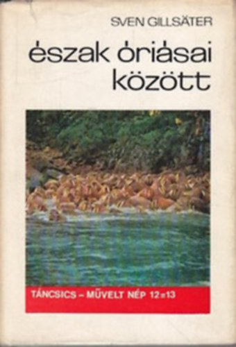 Sven Gillster - szak risai kztt