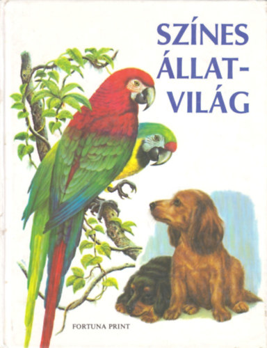 Bauer-Fay - Színes állatvilág