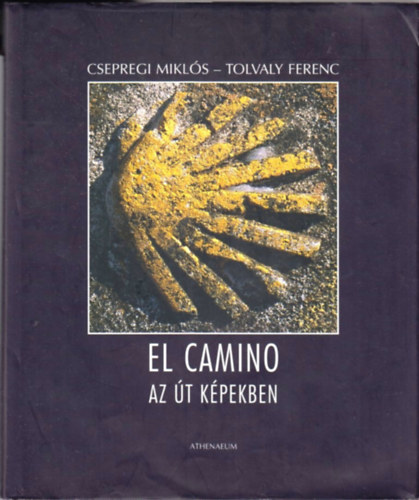 Tolvaly Ferenc-Csepregi Mikls - El Camino - Az t kpekben