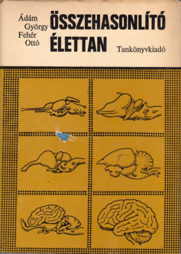 �d�m Gy�rgy-Feh�r Ott� - �sszehasonl�t� �lettan