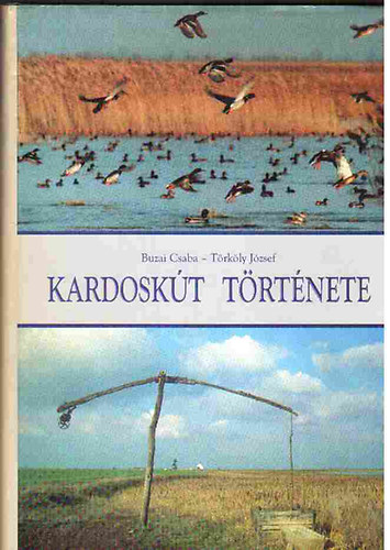 Buzai; Törköly - Kardoskút története
