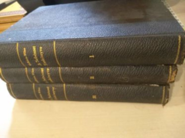 Dr. Wullstein - Dr. Wilms - A sebészet tankönyve I-III.