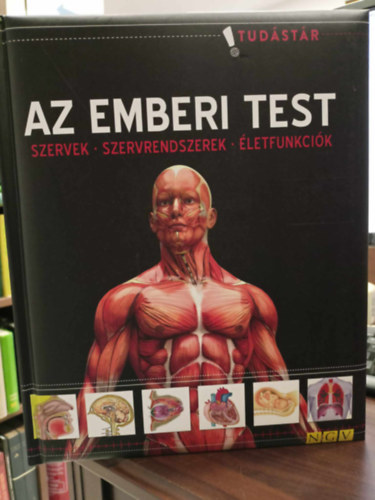 Az emberi test. szervek-szervrendszerek-letfunkcik