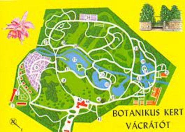Botanikus kert - Vcrtt