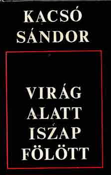 Kacs� S�ndor - Vir�g alatt, iszap f�l�tt