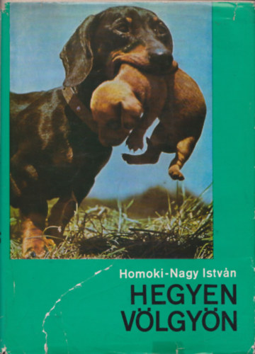 Homoki-Nagy Istvn - Hegyen-vlgyn