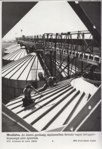 MTI eredeti fotó: Mezőfalva - silóépítés (23x18 cm)