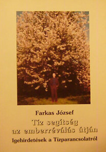 Tz segtsg az emberrvls tjn -Igehirdetsek a Tzparancsolatrl