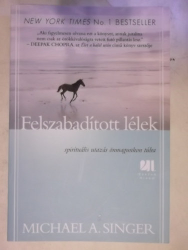 Michael A. Singer - Felszabadtott llek