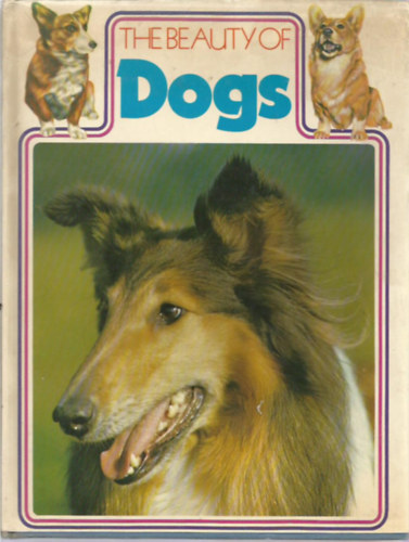 Kenneth Bailey - The Beauty of Dogs