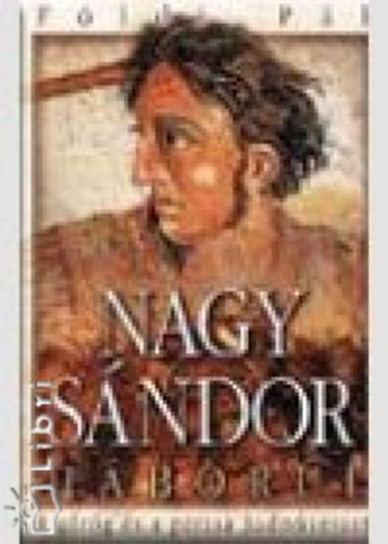 Földi Pál - Nagy Sándor háborúi