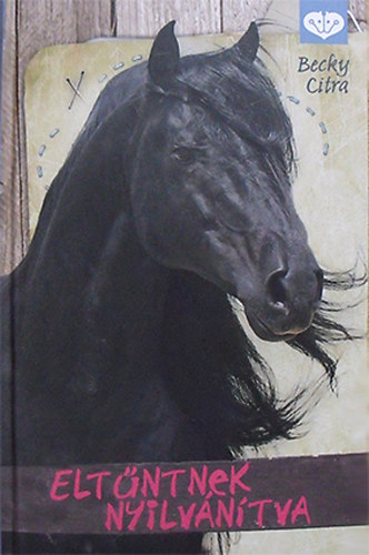 Becky Citra - Eltűntnek nyilvánítva