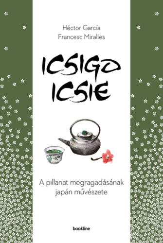 Francesc Miralles, Hctor Garca - Icsigo-icsie