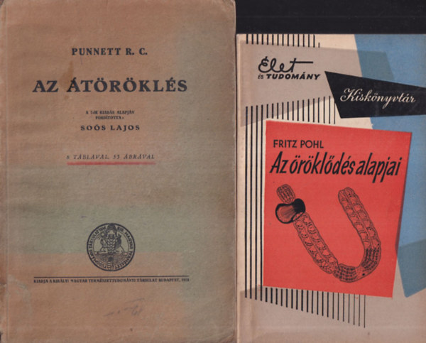 Punnett R.C., Fritz Pohl - Az trkls + Az rklds alapjai (2 m)