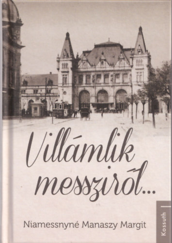 Niamessnyn Manaszy Margit - Villmlik messzirl...