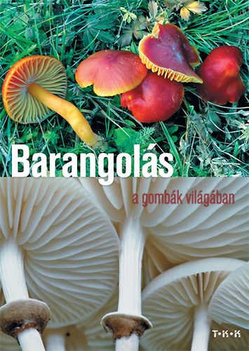 Farkas; Kecsks - Barangols a gombk vilgban