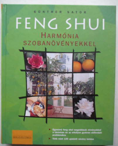 Gnther Sator - Feng shui: Harmnia szobanvnyekkel