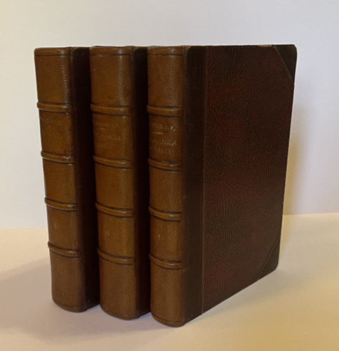 Benedictus Henricus Merkelbach - Summa Theologiae Moralis I-III.