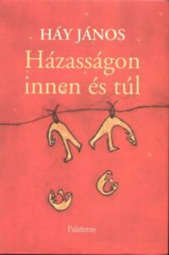 Hy Jnos - Hzassgon innen s tl (novellk)