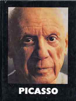 Somlyó György - Picasso (Somlyó)