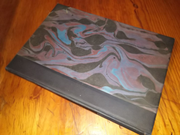 dr Hal�sz �rp�d - A Budapesti V�rosh�za kib�v�t�s�nek tervp�ly�zata