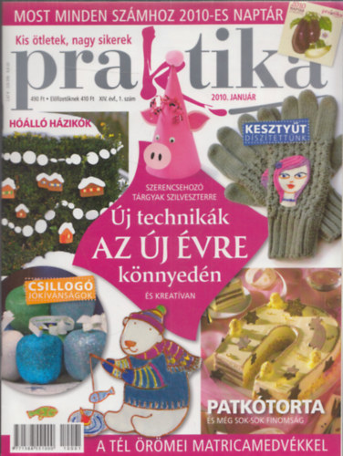 Boda Ildik (fszerk.) - 11db Praktika (2010) - XIV.vfolyam 1.szm,2.szm,3.szm,4.szm,5.szm,7.szm,8.szm,9.szm,10.szm,11.szm,12.szm (hinyzik a 6.szm)