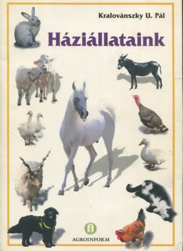 Kralovnszky U. Pl - Hzillataink