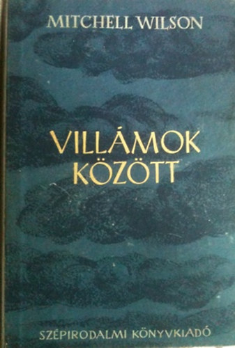 Mitchell Wilson - Villámok között