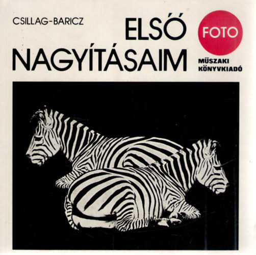 CSillag- Baricz - Els nagytsaim