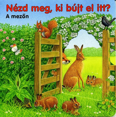 Nzd meg, ki bjt el itt? - A mezn