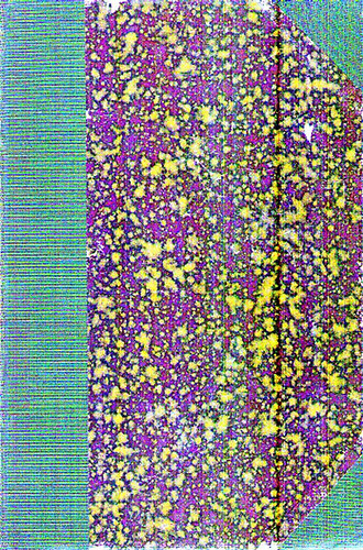 Pusztai Ferenc (szerk.) - Nyomd�szati encziklop�dia (Az �sszes grafikai tudom�nyok ismerett�ra)