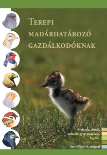 Krll Attila, Lrnt Mikls, Marticsek Jzsef, Nagy Dnes - Terepi madrhatroz gazdlkodknak