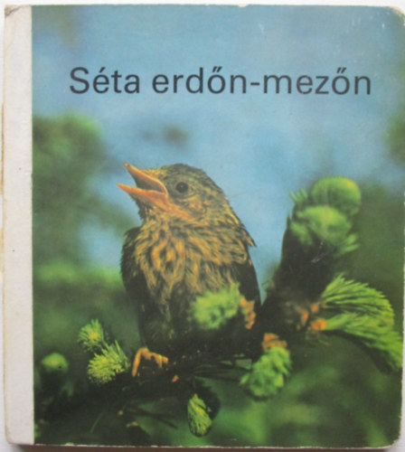 F. Kunz-szines fotkat ksztette - Sta erdn-mezn