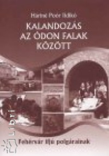 Hrin Por Ildik - Kalandozs az don falak kztt (Fehrvr ifj polgrainak)