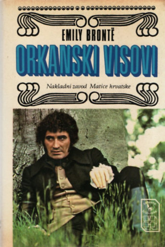 Emily Bront - Orkanski visovi