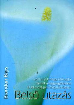 Brandon Bays - Belső utazás - Nem mindennapi útmutató életünk meggyógyításához és szabadságunk megszerzéséhez