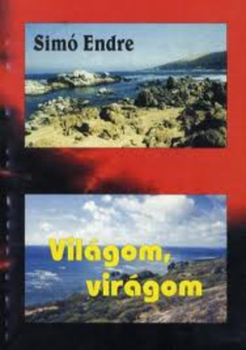 Sim Endre - Vilgom, virgom