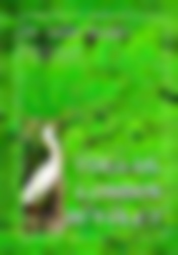 Nádai Magda Dr. - Tollas, lombos bűvölet (madarak és fák a költészetben)